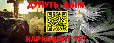 мдпв Нальчик