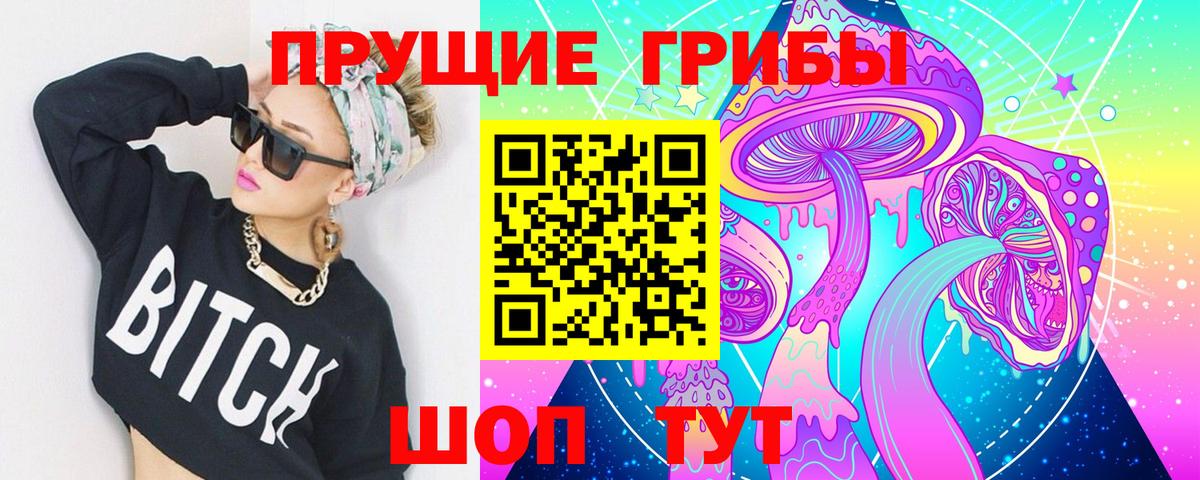 Галлюциногенные грибы Psilocybine cubensis Санкт-Петербург