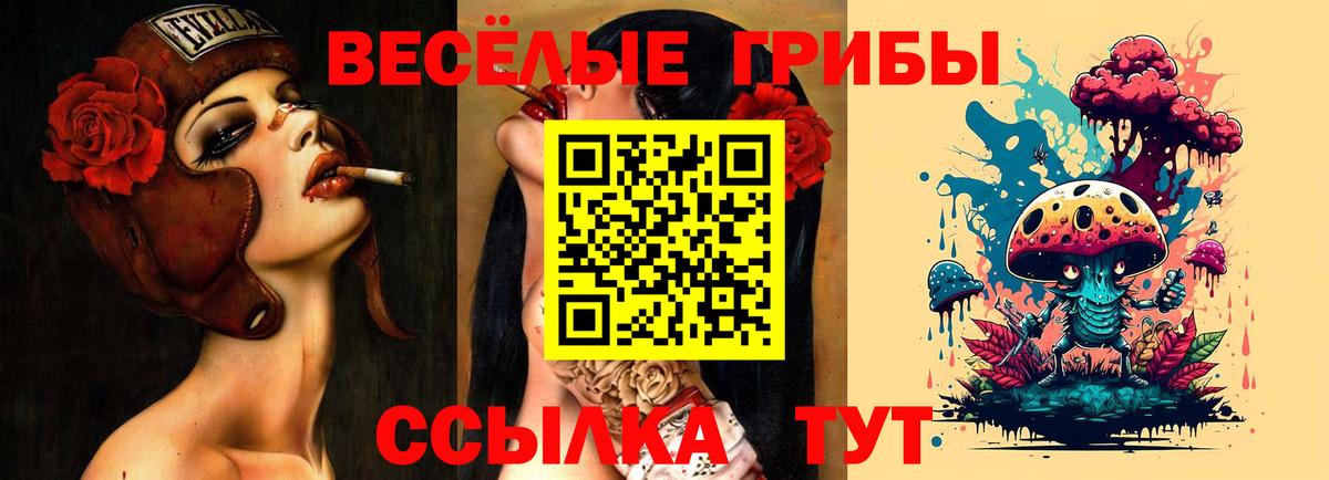 Псилоцибиновые грибы прущие грибы  закладки  Санкт-Петербург  Вход с VPN  Псилоцибиновые грибы Psilocybe 